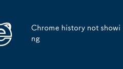 Chrome history not showing