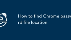 How to find Chrome password file location