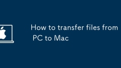 PC?? Mac?? ??? ???? ??