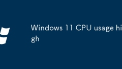 Windows 11 CPU ???