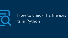 How to check if a file exists in Python