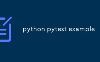 Python Pytest 예제
