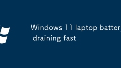Windows 11 ??? ??? ??? ??? ?????