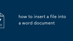 Comment insérer un fichier dans un document Word