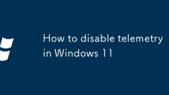 Windows 11?? ?? ??? ?????? ??
