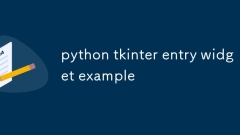 python tkinter entry widget example