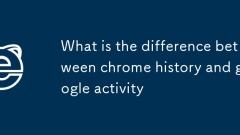 What is the difference between chrome history and google activity