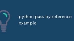 python pass by reference example