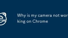 Pourquoi mon appareil photo ne fonctionne-t-il pas sur Chrome