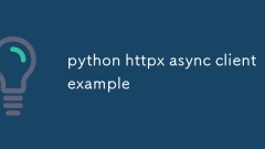 python httpx async client example