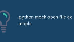 python mock open file example