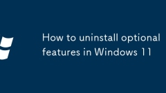 How to uninstall optional features in Windows 11