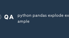 python pandas explode example