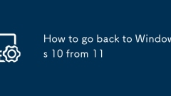 How to go back to Windows 10 from 11