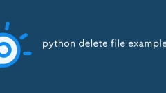 python delete file example