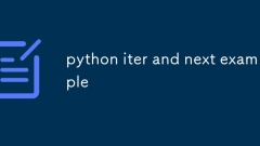 python iter and next example