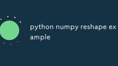 python numpy reshape example