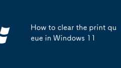 Windows 11?? ?? ???? ??? ??