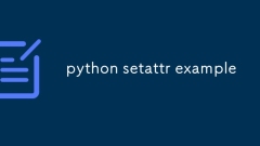 python setattr example