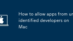 Cara Membenarkan Aplikasi Dari Pemaju Tidak Dikenal di Mac
