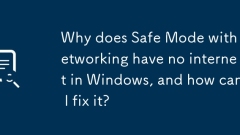 Warum hat der abgesicherte Modus mit Networking kein Internet in Windows und wie kann ich ihn beheben?