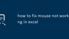 Wie man Maus repariert, arbeitet in Excel nicht