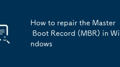 So reparieren Sie den Master -Boot -Datensatz (MBR) in Windows
