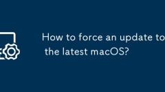 Wie erzwinge ich ein Update zu den neuesten MacOS?