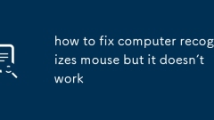 So beheben Sie den Computer erkannt Maus, aber sie funktioniert nicht