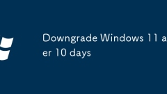 Downgrade Windows 11 nach 10 Tagen herab