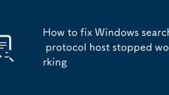 How to fix Windows search protocol host stopped working