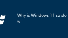 Warum ist Windows 11 so langsam?