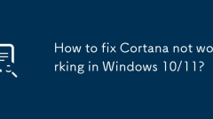 Comment réparer Cortana ne fonctionnant pas dans Windows 10/11?