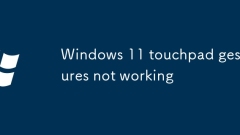 Les gestes de pavé de Windows 11 ne fonctionnent pas