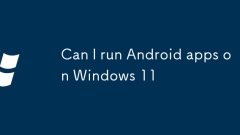 Puis-je exécuter les applications Android sur Windows 11