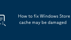 Comment réparer le cache de la boutique Windows peut être endommagé