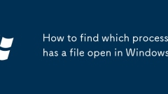 Cara mencari proses mana yang mempunyai fail terbuka di Windows