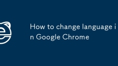 Google Chrome?? ??? ???? ??
