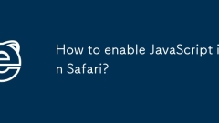 Safari?? JavaScript? ????? ??? ??????