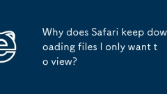 Safari? ???? ?? ??? ?? ?????? ??? ??????