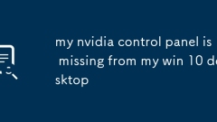 Mein Nvidia Control Panel fehlt in meinem Win 10 Desktop