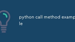 Beispiel für Python -Anrufmethode