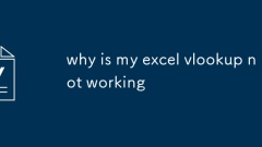 為什么我的excel vlookup不起作用