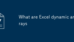 Was sind Excel Dynamic Arrays