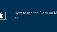 How to use the Dock on Mac
