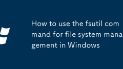 How to use the fsutil command for file system management in Windows