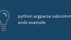 Python Argparse -Unterbefehlsbeispiele