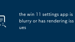 L'application paramètres Win 11 est floue ou a des problèmes de rendu