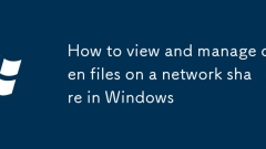 How to view and manage open files on a network share in Windows