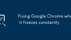 Memperbaiki Google Chrome ketika ia membeku secara berterusan